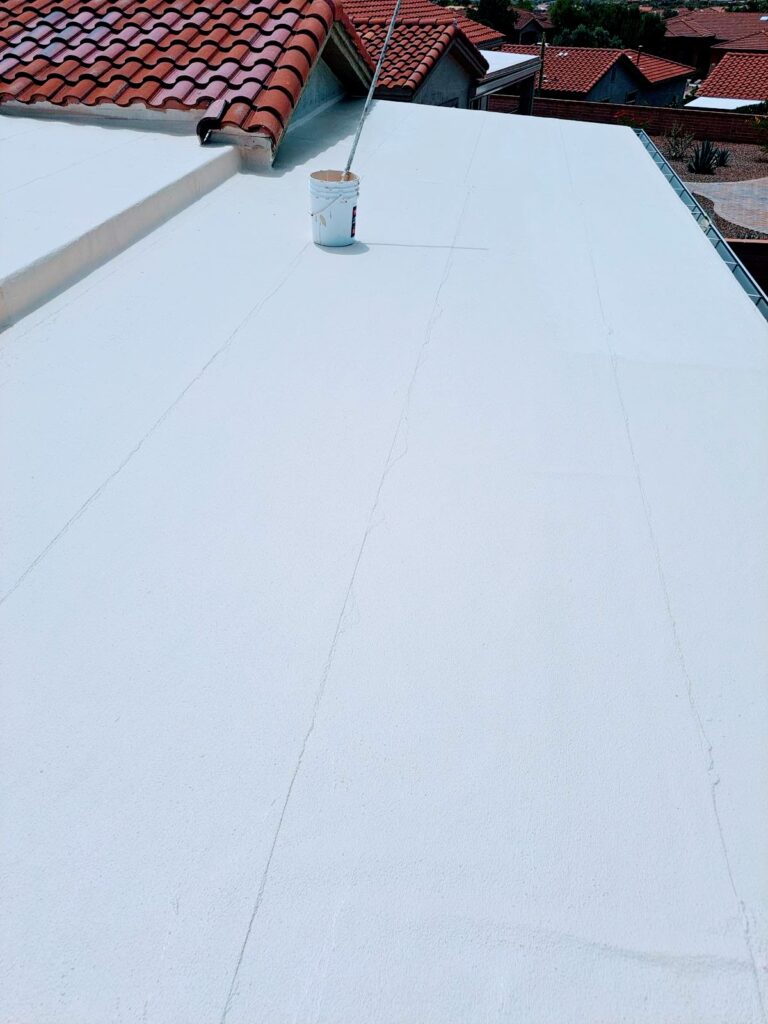 Flat Roof Paint
